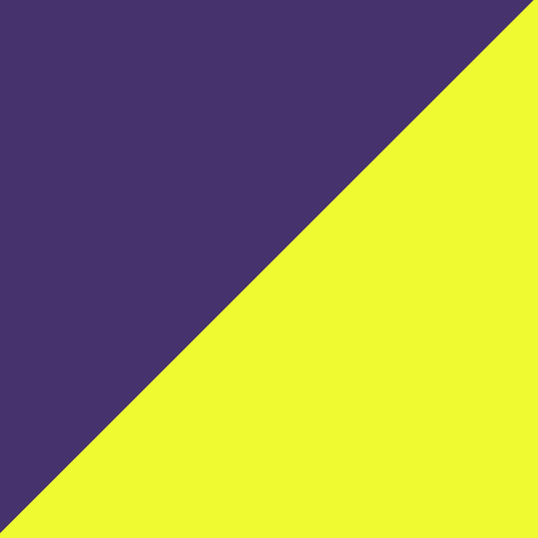 purple yoke/hi-vis yellow
